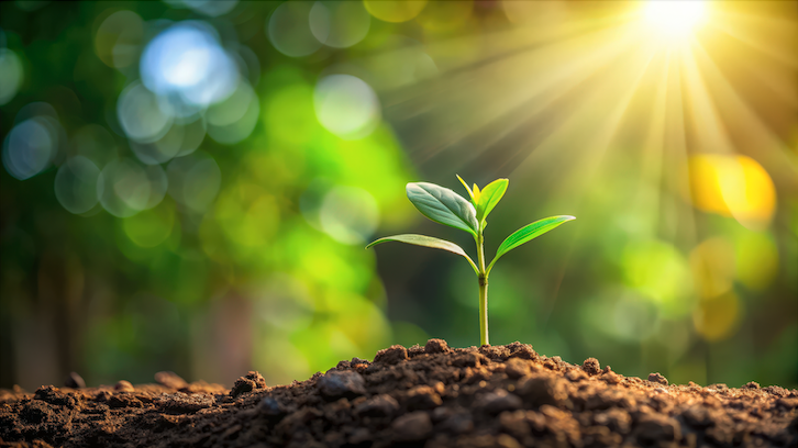 Ao ler cada depoimento, me vi tão&nbsp;pequena…