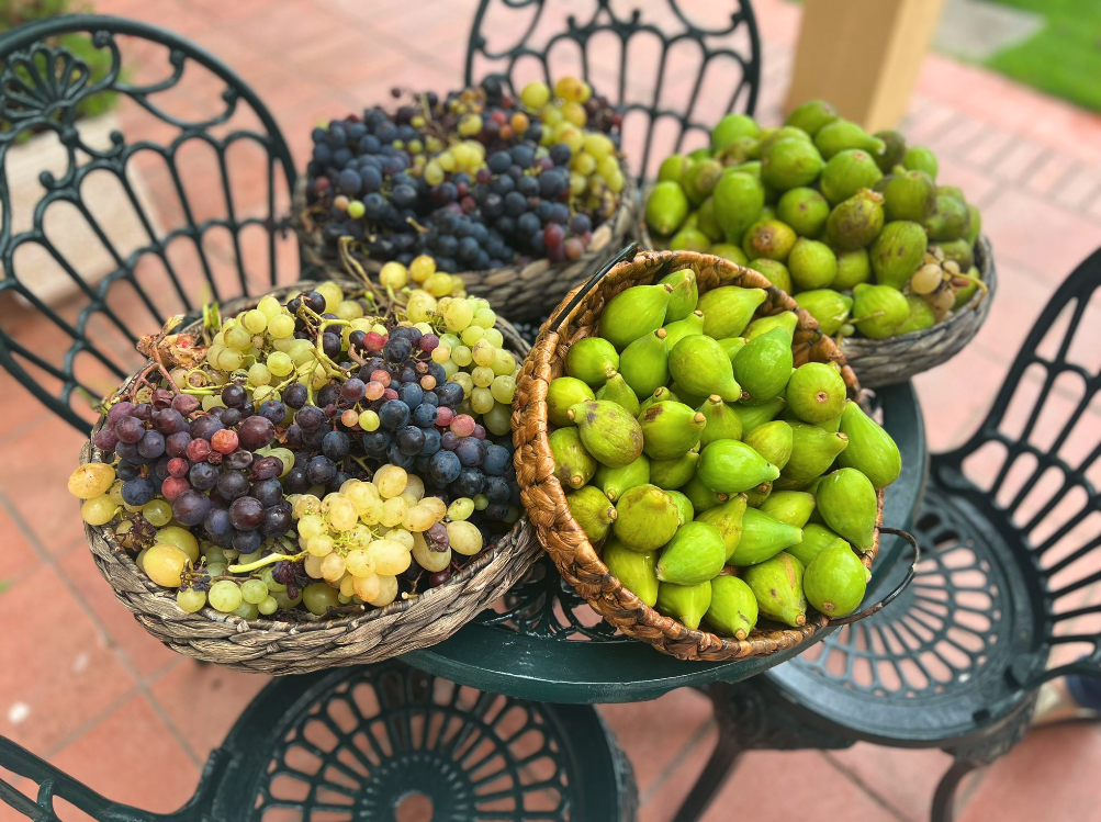 Encontro 8: Páginas&nbsp;90-92